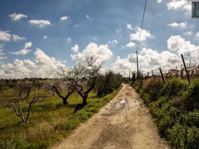 A quel punto la via asfaltata lascia il posto a un piccolo sentiero di campagna...
